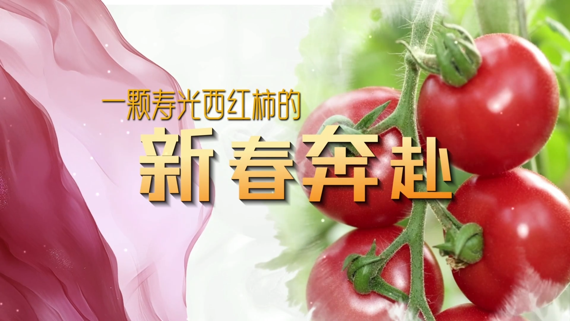 从寿光抵京，一颗西红柿的新春奔赴