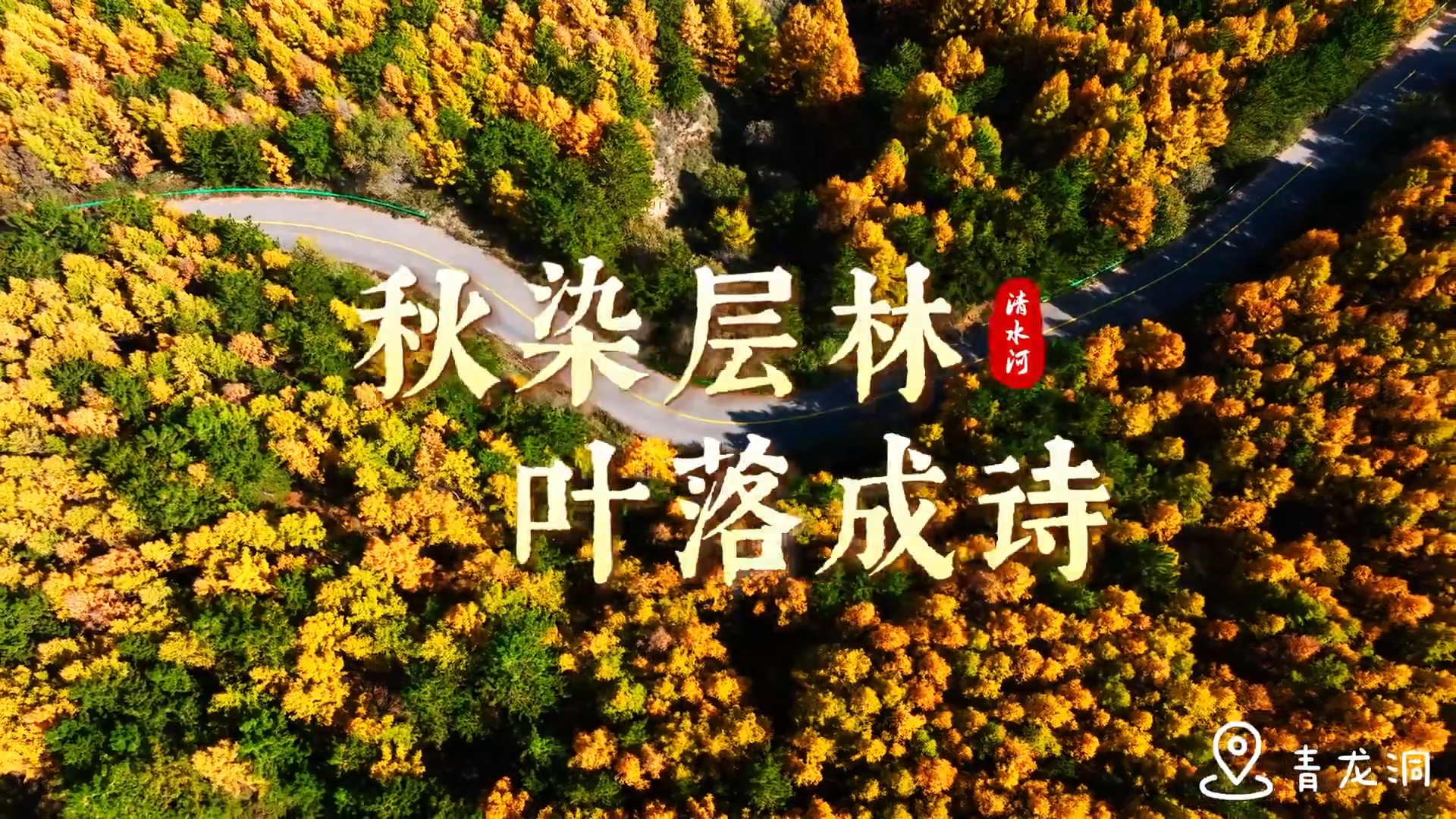 青龙洞：秋染层林，叶落成诗