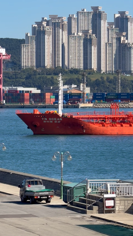 跨越大海的合作：见证中韩贸易“加速度”