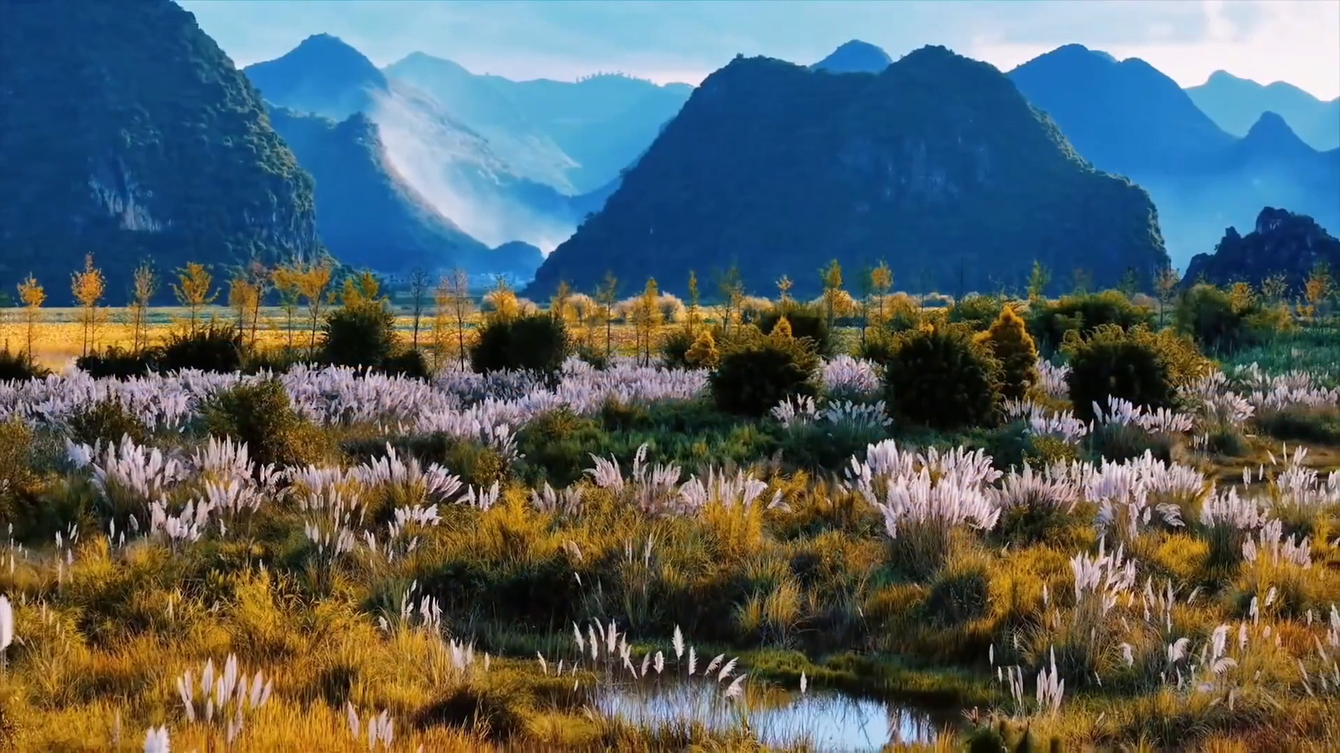 芦花与远山夕阳交织 氛围感拉满