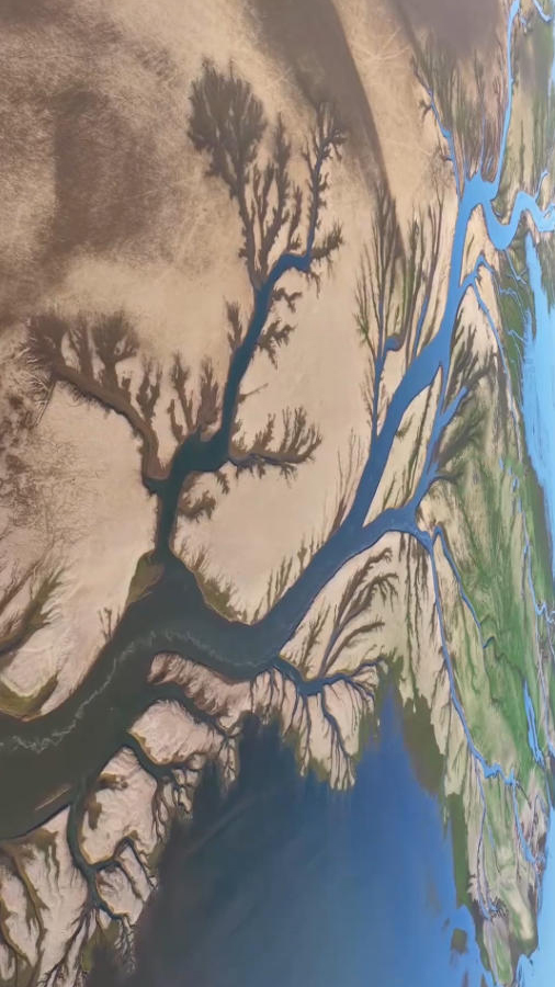 壮美！鄱阳湖“大地之树”景观