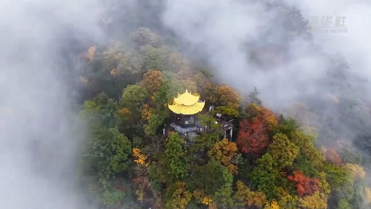 航拍深秋天目山 宛如画境