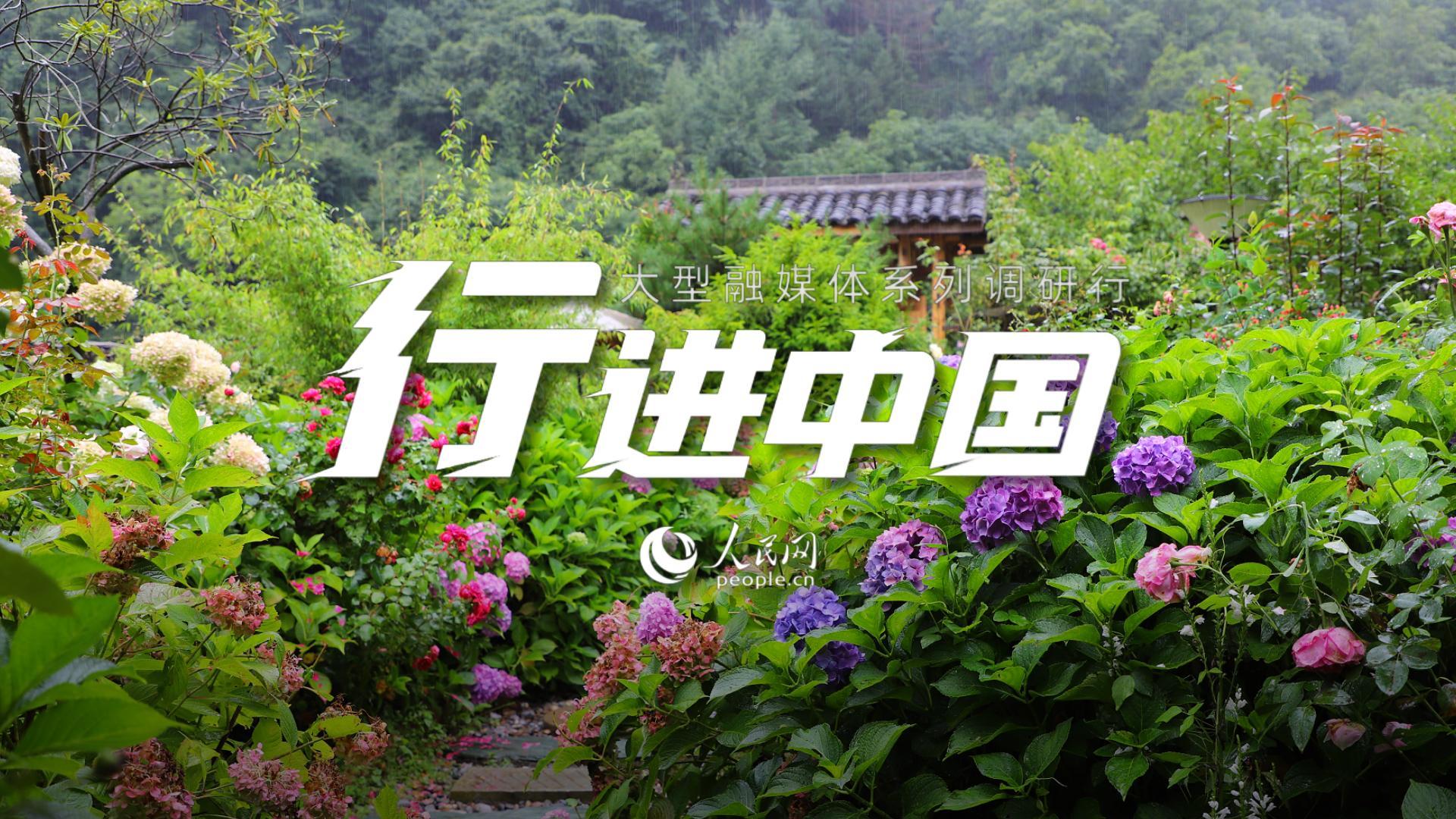 去山水文县,住“花房”民宿