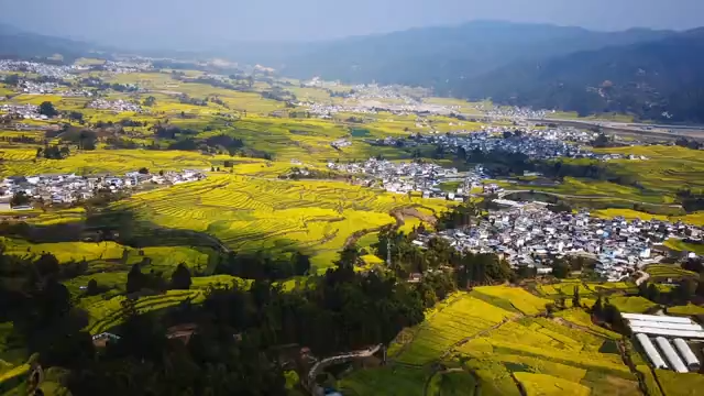 云南临翔油菜花盛放美如梦境
