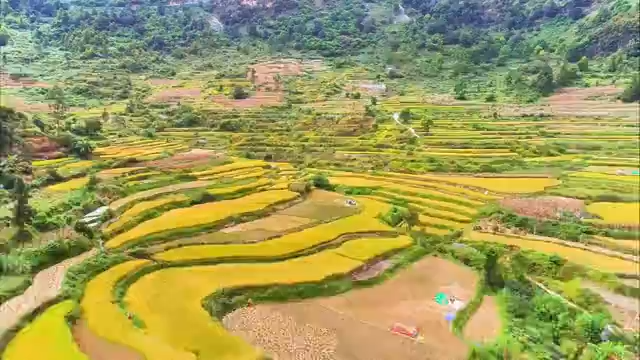 水城花戛乡：金秋“丰”景入画来