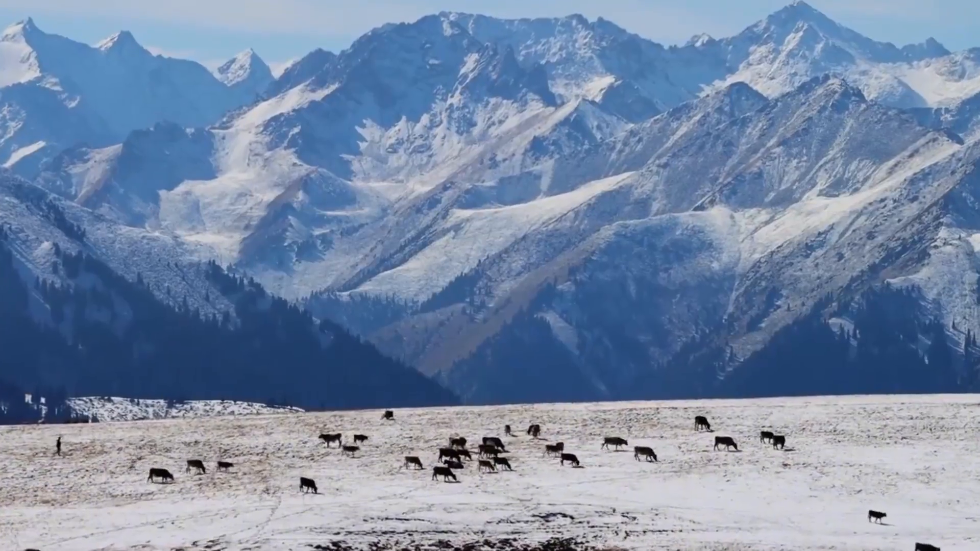 Қыздар порно көру үшін келді. Өте әдемі қызбен онлайн порно көру