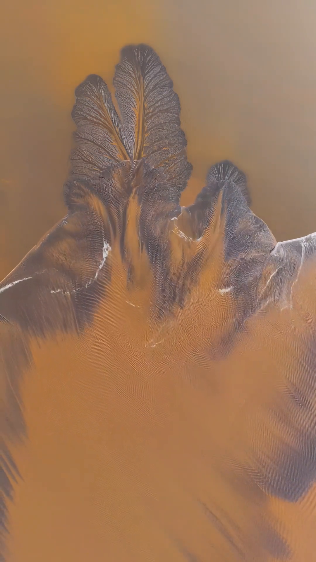 Әнші Валерияның порнографиялық суреттері мен бейнелері