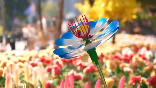 莆田市绶溪沉浸式夜游启幕