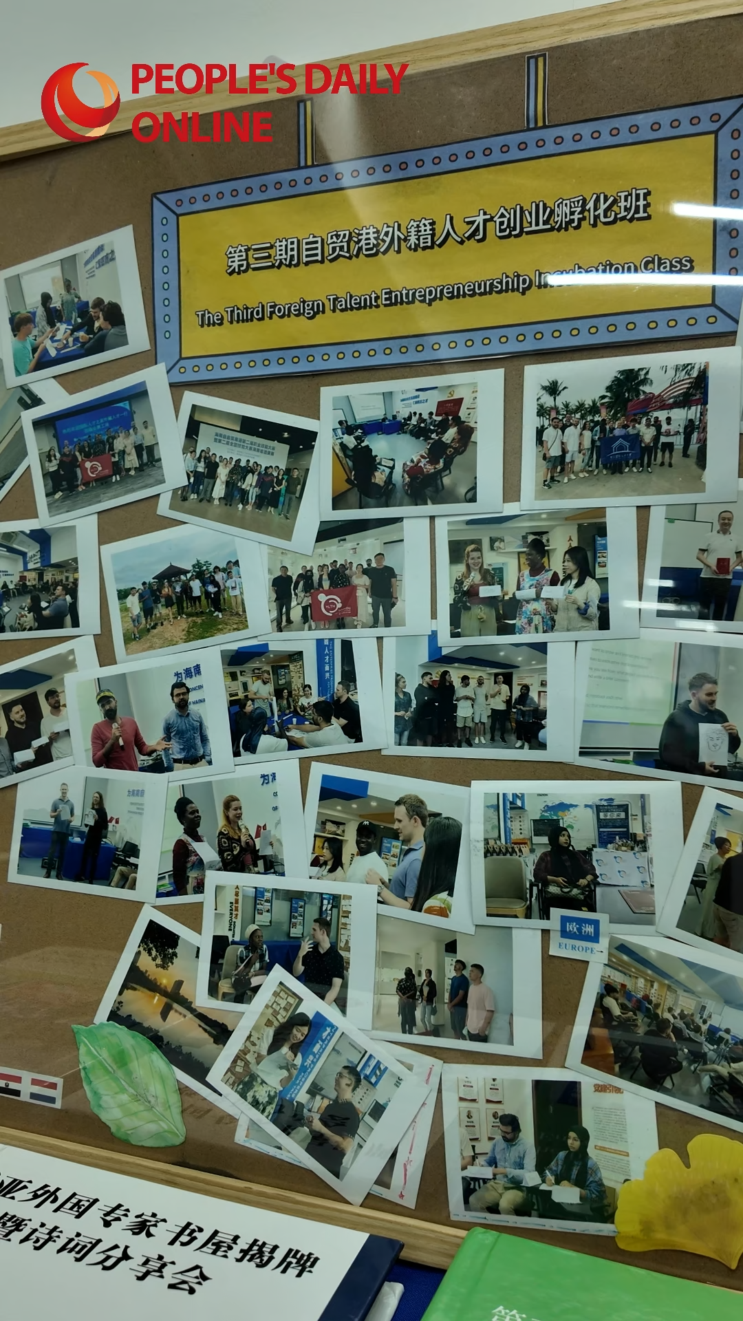 在海南创业,外籍人才这样说……